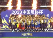 平博娱乐-足协杯-路易斯戴帽吴曦3助攻！申花3-2海港进8强