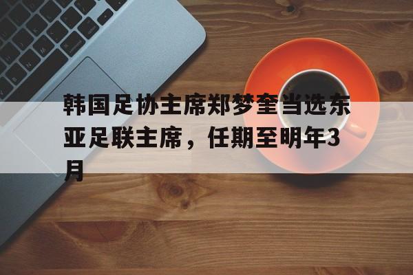 包含韩国足协主席郑梦奎当选东亚足联主席，任期至明年3月的词条
