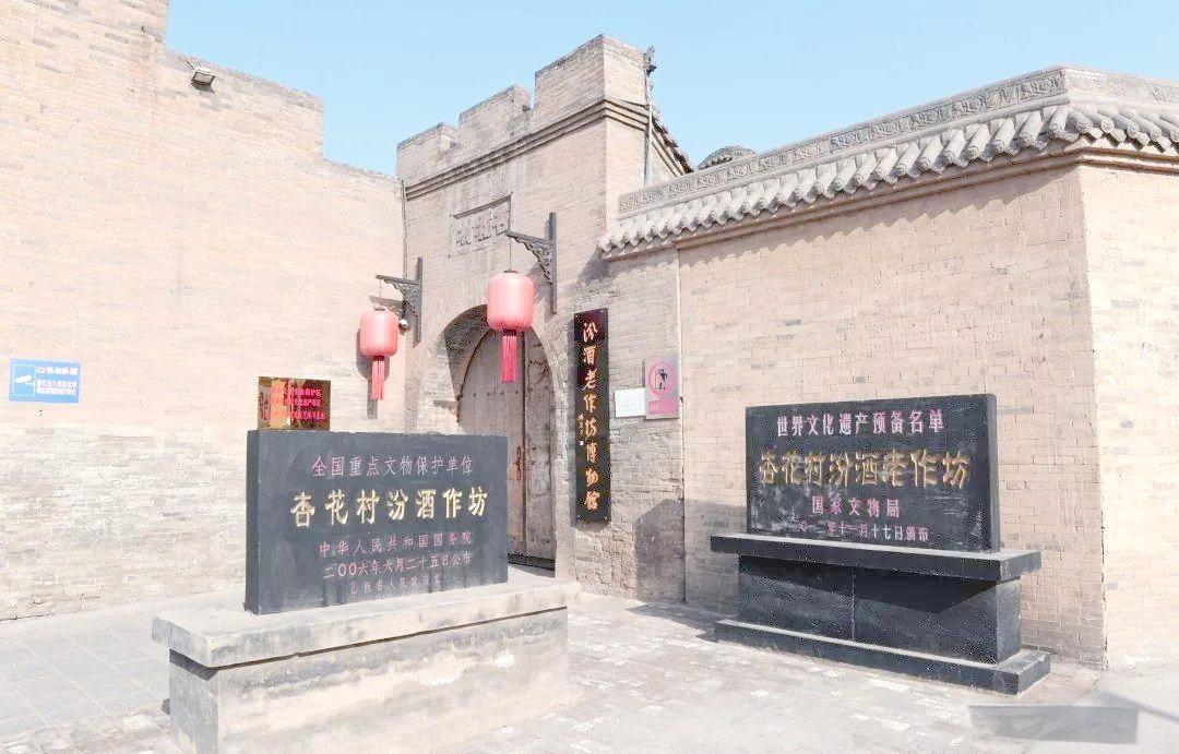 巴拿马篮球风云人物崭露头角，登顶巅峰
